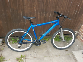 giant rapid 2 2011